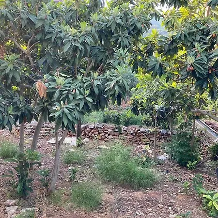 Denize Karsi,terasli,dogada,mustakil Ayarinda Ev